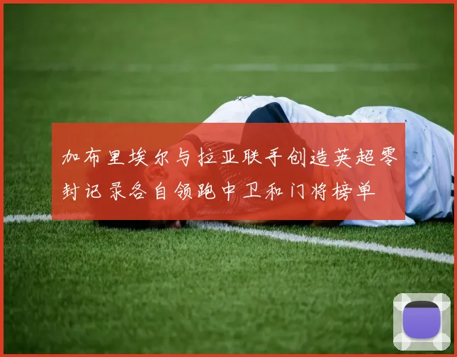 加布里埃尔与拉亚联手创造英超零封记录各自领跑中卫和门将榜单