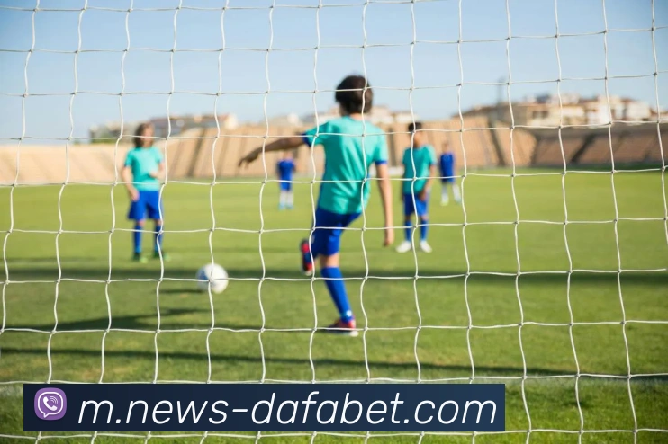 大发彩票平台生态图